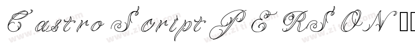 Castro Script PERSON字体转换